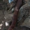 Engraved Carbon Steel Axe - Image 7