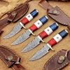 Skinner Knives Set